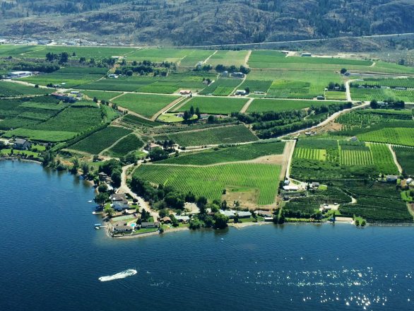 LAS Selona aerial shot july 2014 alyssa